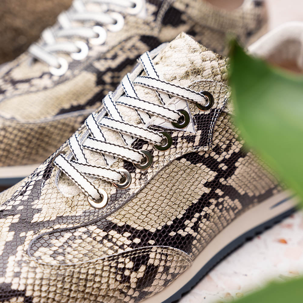 Peri Python Embossed Italian Calfskin Sneakers | Black/White