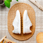 ROXI Suede & Calfskin Sneaker | White