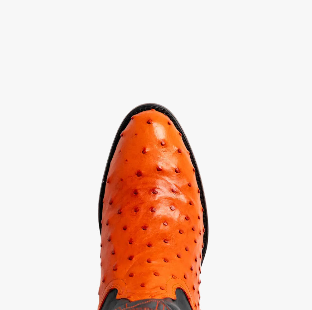 Savannah Cowboy Boot | Orange