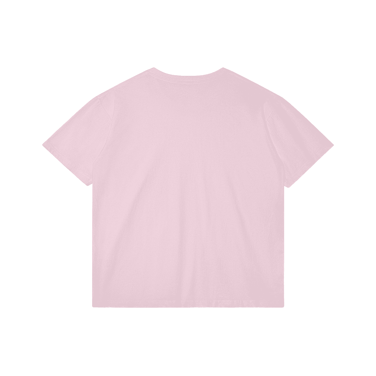 FALASTIN Adults Regular Fit T-shirt