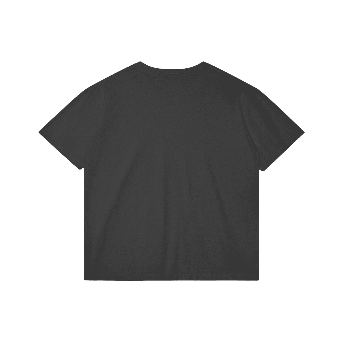 FALASTIN Adults Regular Fit T-shirt