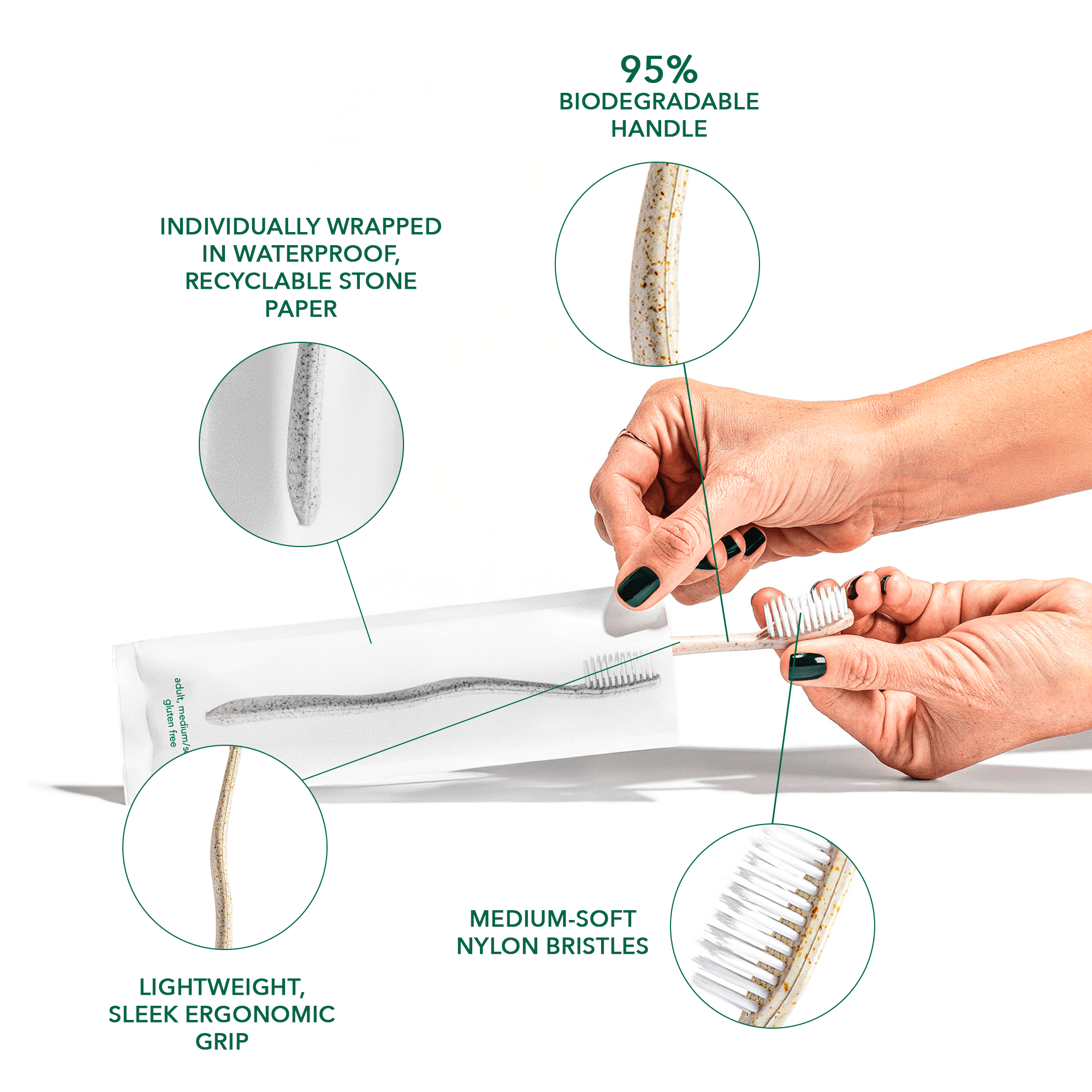 Gentle Green Eco-Friendly Wheat Straw Toothbrushes for Sensitive Teeth | BPA-Free, Travel-Friendly, Plastic-Free | Family Pack (10 Ct)