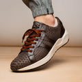 Verona Brown Sneaker