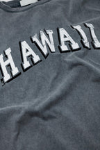 Washed Effect Hawaii T-Shirt in Grey